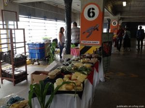 También podrá ver otros productos de emprendedores ticos.