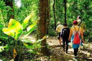 Proyecto de Ley contra el Fraude Fiscal provocaría una disminución en el turismo