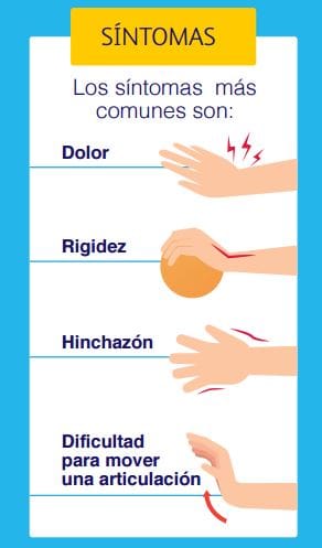 Cortesía de Pfizer. A las posibles causas de la artritis reumatoide, se le asocia la genética y al debilitamiento del sistema inmunológico.