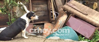 Carousel image