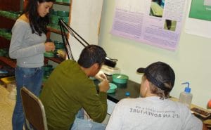 Los investigadores recopilaron pruebas en todo el país. Cortesía de la Vicerrectoría de Investigación de la UCR