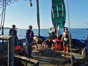 En los últimos 10 meses, las autoridades han capturado 3 barcos camaroneros, que pescaban en áreas marinas protegidas. (Imagen del Minae)