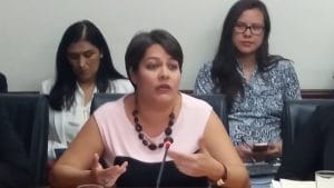 Ana Gabriel Zúñiga, viceministra de la Presidencia.