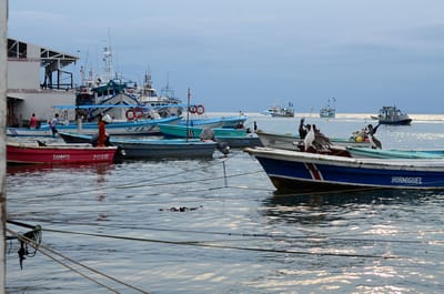 La pesca fue su primera opción, pero luego la idea se desvaneció (Daniela Abarca / CRH).