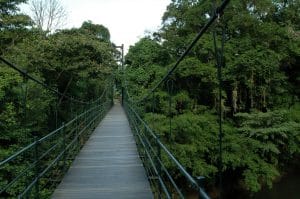 Universidad EARTH recibirá $700 mil.