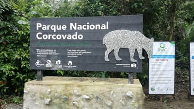 Corcovado recibe 55 mil turistas al año, la gran mayoría son extranjeros.