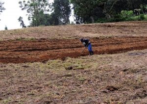 La herramienta es un apoyo para los agricultores. (CRH).