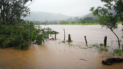Incidentes provocados por tormenta Nate.