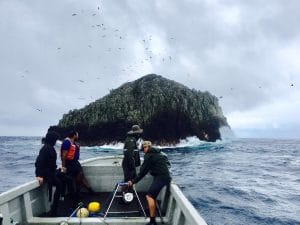 Biólogos utilizan cámaras pescadoras remotas. Foto: Geiner Golfin.