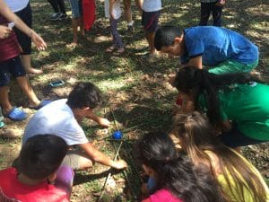 Como parte de las acciones preventivas se trabajaran con comunidades y escuelas. (Imagen de Área de Conservación Osa)