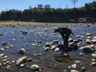 El río más grande de Costa Rica es el Río Térraba, cada verano pierde caudal por la intensiva actividad agrícola, las concesiones de agua y el calentamiento global. (Fotografía: Mauricio Álvarez)