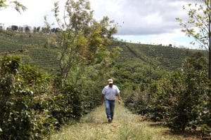 Finca cafetalera de Starbucks en Poás.