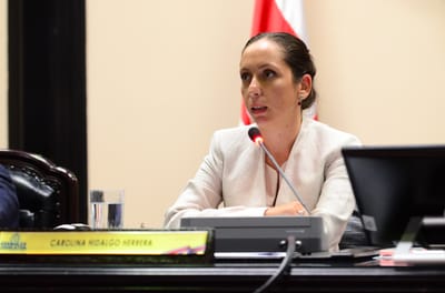 La presidenta del Congreso, Carolina Hidalgo, anunciará este lunes la integración de las tres comisiones con potestad legislativa plena. (Daniela Abarca/CRH).