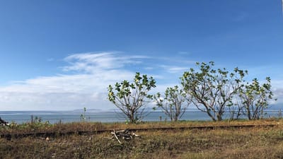 Día soleado