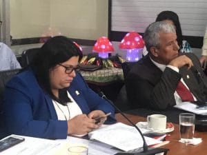 Paola Vega es diputada oficialista.