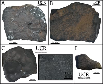 (Imagen cortesía de la UCR).