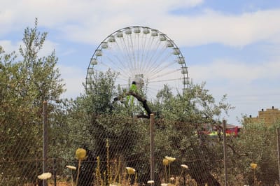 Carousel image