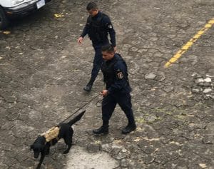 En días pasados el Ministerio de Seguridad también ingresó al Congreso tras el ingreso de una bomba en uno de los baños.