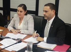 La iniciativa la propuso la diputada Ana Lucía Delgado, del Partido Liberación Nacional. (Cortesía).