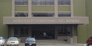 Unidades del SFE pidieron destruir o reexportar el cargamento.(CRH)