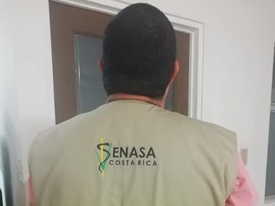 Senasa realizará evaluación clínica a perro pitbull que mordió a mujer en Purral