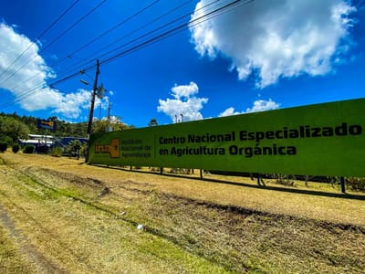 Carousel image
