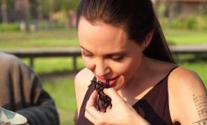 Angelina Jolie en el 2017 comiendo insectos y tarántulas