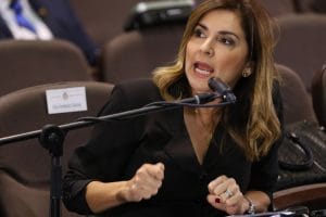Diputada Silvia Hernández: "hago un llamado al Gobierno de la República para que adopte medidas de fondo". (Cortesía).