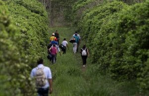 El paso de los migrantes. Foto: Jorge Torres/La Prensa.