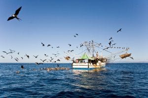 Pescadores de Puntarenas. (Foto: CRH/ Con fines ilustrativos)