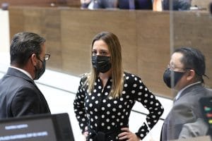 La diputada Ana Karine Niño, del PLN, hizo un llamado de atención para que los textos guarden balance. (Cortesía/Asamblea).