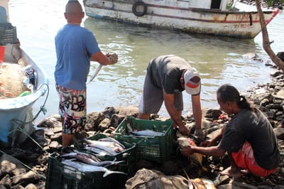 Pescadores artesanales en el Pacífico de Costa Rica. Archivo CRH/Con fines ilustrativos
