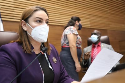 La diputada Ana Lucía Delgado, del PLN, dijo que el proyecto de ley para crear el Fondo Nacional de Avales y Garantías será prioridad. (Archivo/CRH).