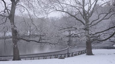 Imagen publicada en el sitio oficial del "Central Park" de NYC.