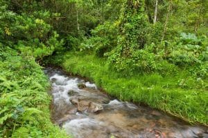 Río Guápiles. Fotos con fines ilustrativos.