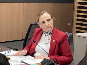La exdiputada Zoila Volio Pacheco, fue impulsora de la ley (CRH)