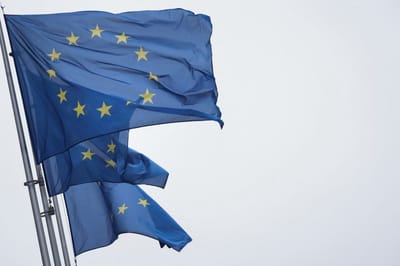 Banderas de la Unión Europea. (Foto de Kenzo Tribouillard/AFP).