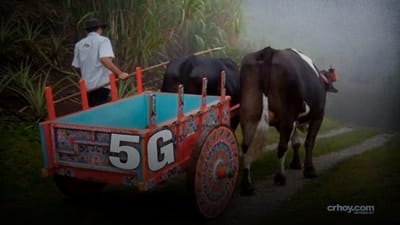 Carousel image