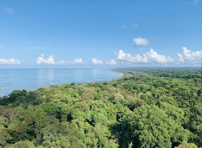 Parque Nacional Corcovado, en la Zona Sur de Costa Rica. Foto: @SciDiplomacyUSA