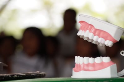 Colegio de Cirujanos Dentistas advierte sobre la importancia de prevenir enfermedades por mala salud bucodental (Colegio Cirujanos Dentistas)