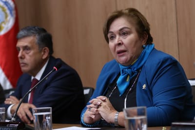 Rosaura Méndez, diputada del PLN (Archivo)
