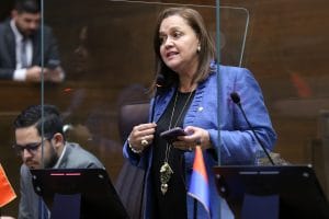 Vanessa Castro, diputada del PUSC. (Archivo/CRH).