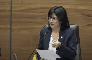 Rocío Alfaro, diputada del Frente Amplio. (Archivo/CRH).