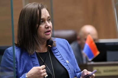 Diputado del PUSC Vanessa Castro.
