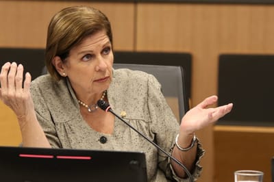 Diputada Pilar Cisneros