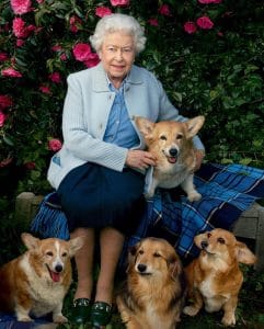 Los últimos perros de la reina
