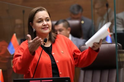 Vanessa Castro Mora diputada del PUSC
