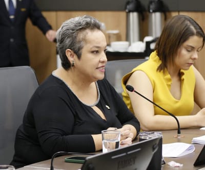 Diputada Carolina Delgado. (Foto: Asamblea)