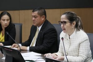 La Comisión de Nombramientos recibirá en audiencia a la candidata este viernes. (Foto: Minor Solís)