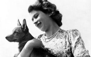 Isabel II y su primera Corgi, Susan
